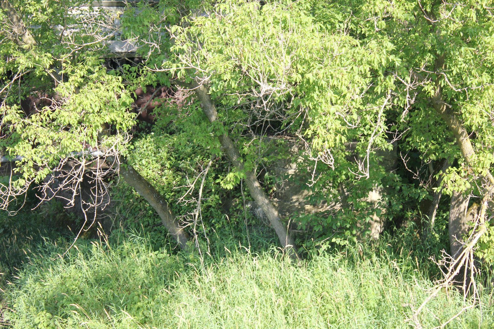 East abutment